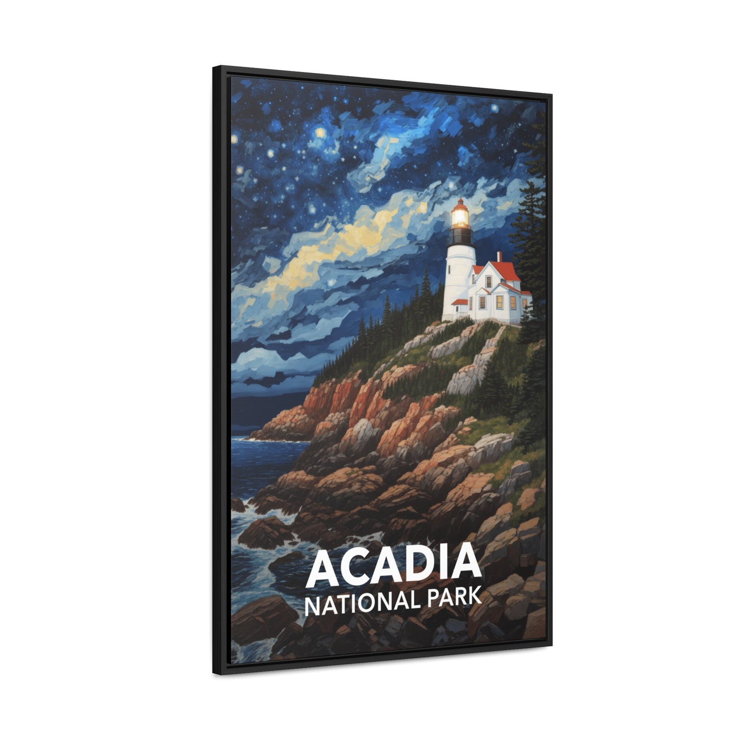 Acadia National Park Framed Canvas - The Starry Night
