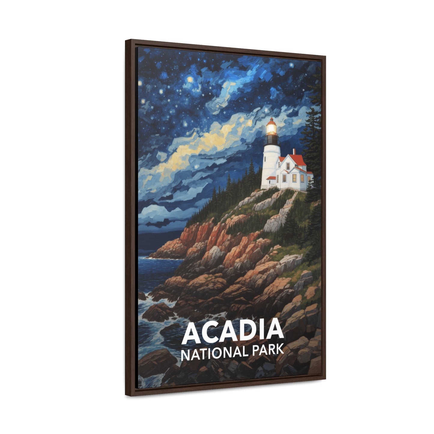 Acadia National Park Framed Canvas - The Starry Night