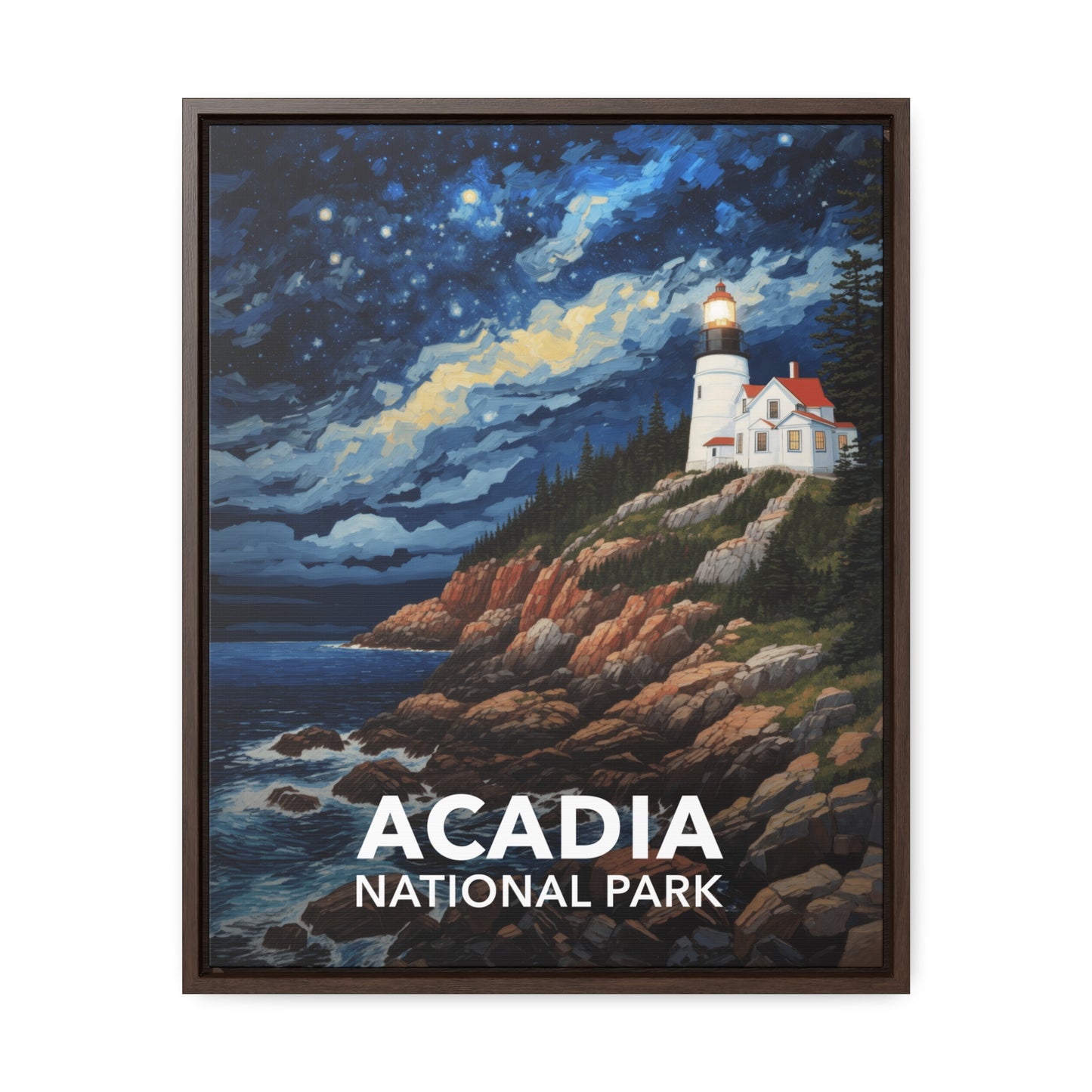 Acadia National Park Framed Canvas - The Starry Night