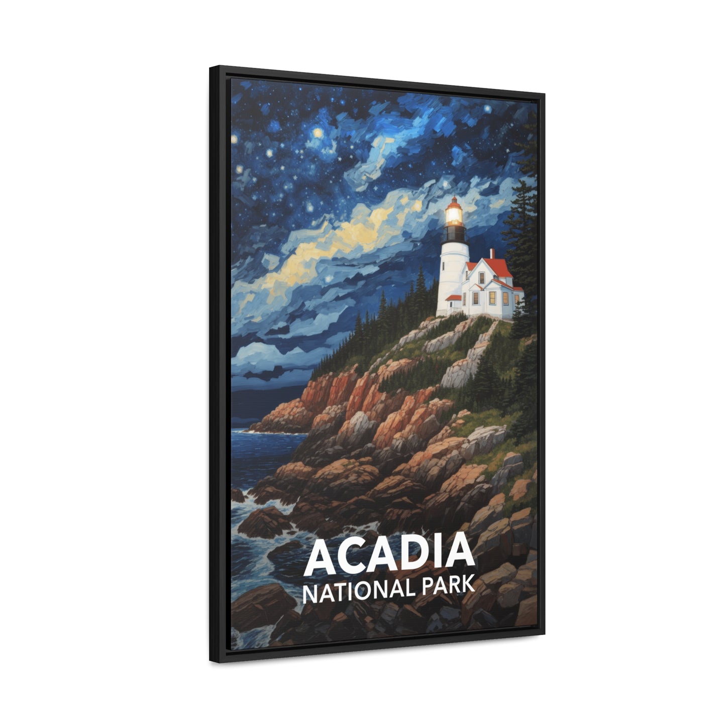 Acadia National Park Framed Canvas - The Starry Night