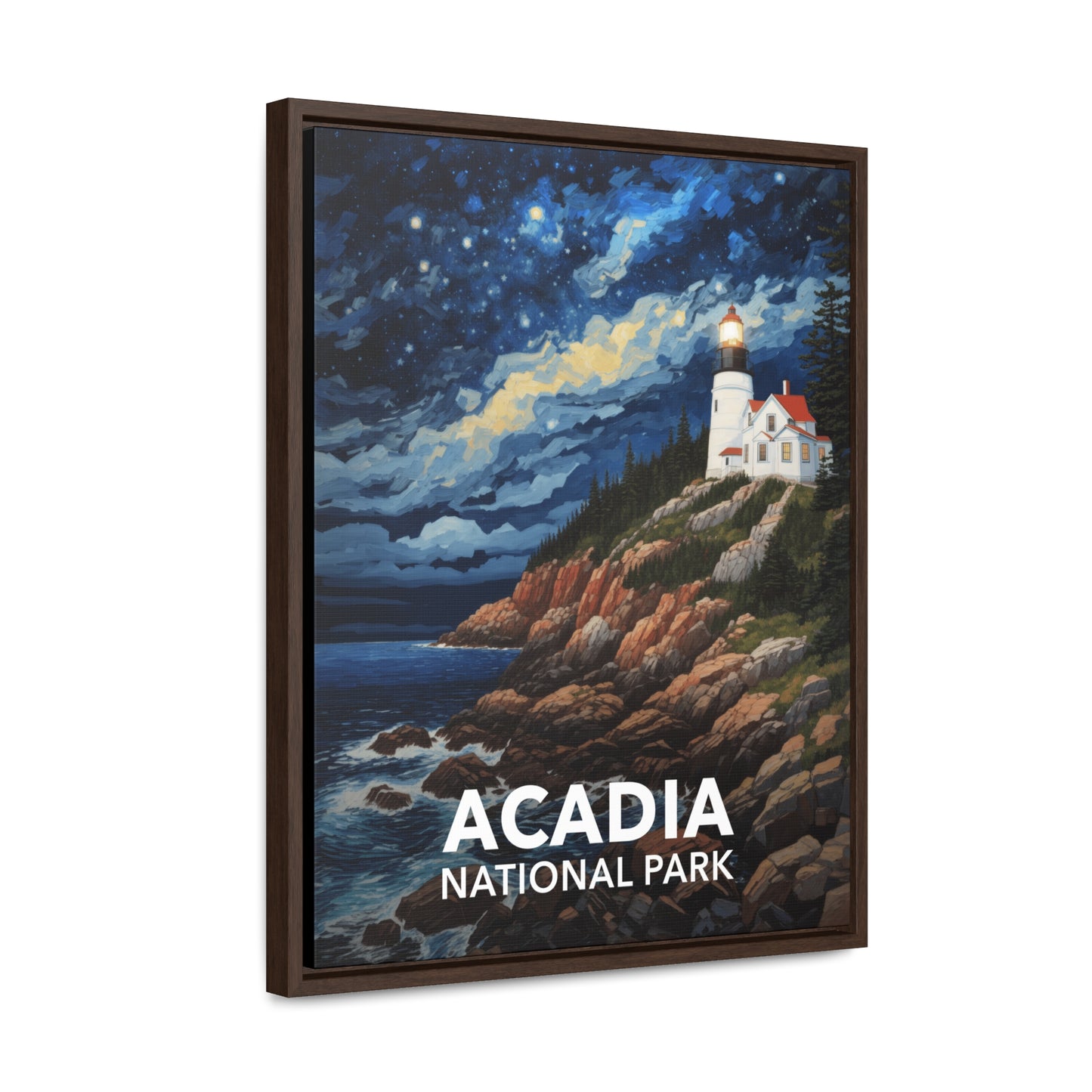 Acadia National Park Framed Canvas - The Starry Night