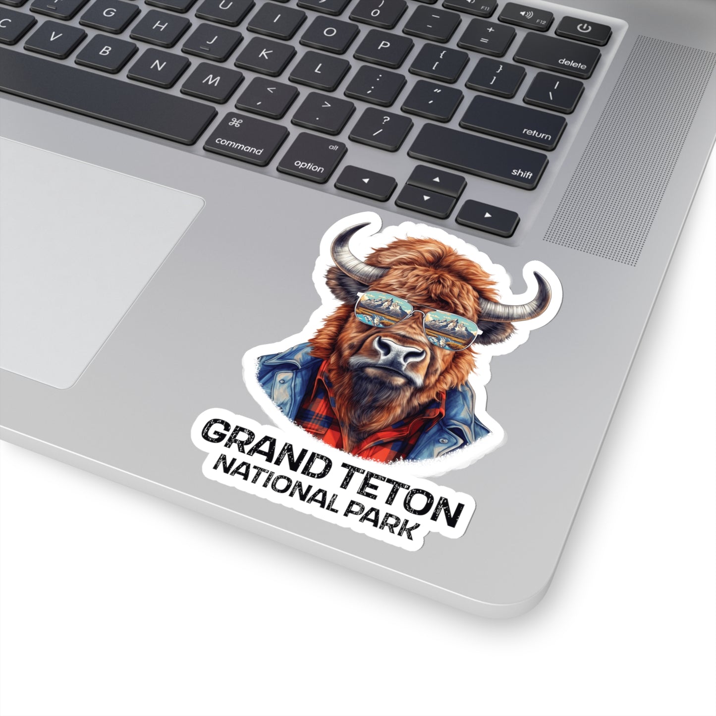 Grand Teton National Park Sticker - Bison