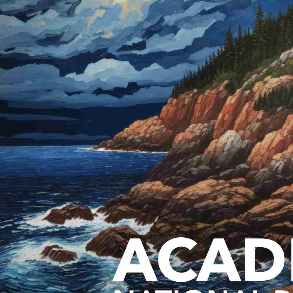 Acadia National Park Framed Canvas - The Starry Night