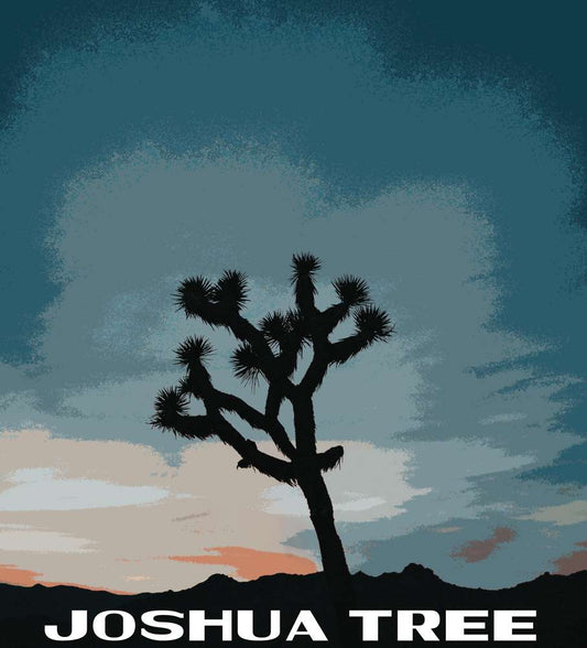 Joshua Tree National Park Poster