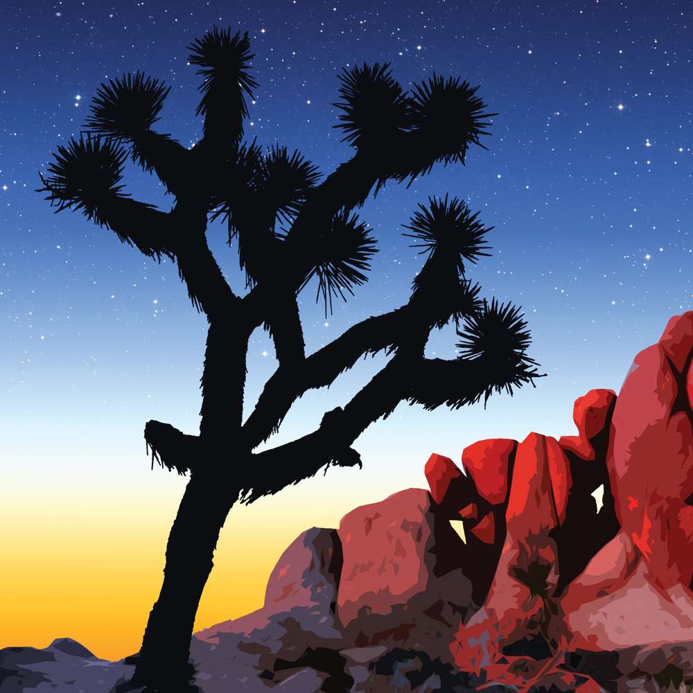 Joshua Tree National Park Framed Canvas - WPA Poster Sunset