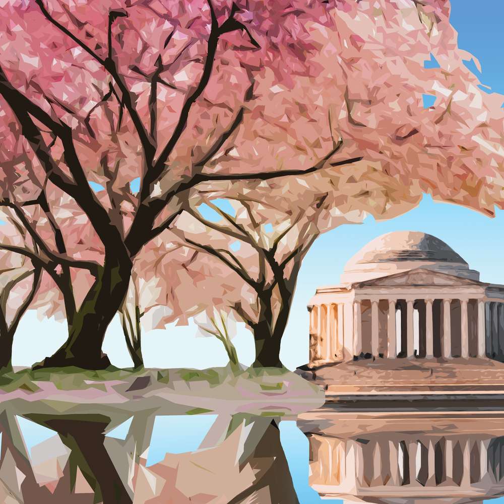 National Mall and Memorial Parks Poster