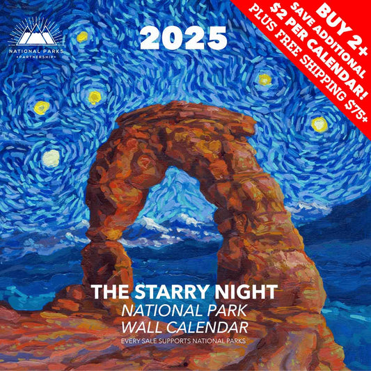 2025 Starry Night National Park™ Wall Calendar