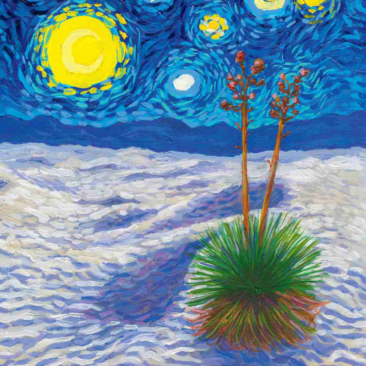 2026 Starry Night National Park Wall Calendar
