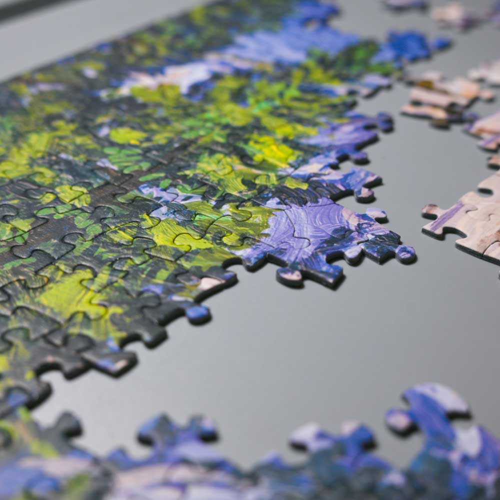 1000 Piece Yosemite National Park Jigsaw Puzzle - Starry Night