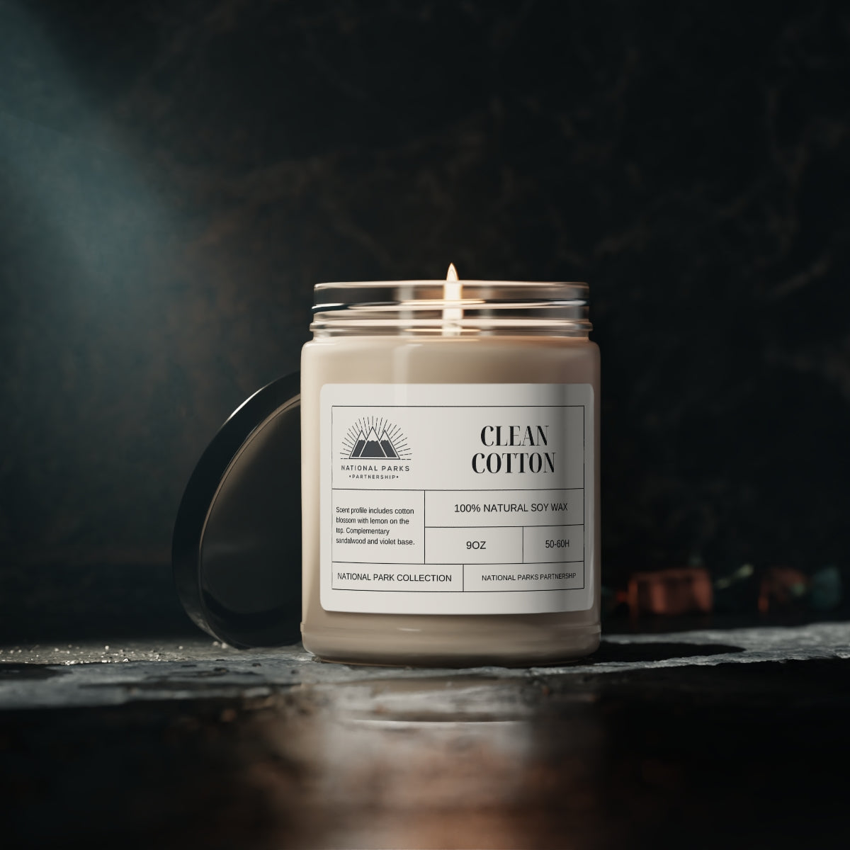 National Park Scented Candle - 9oz