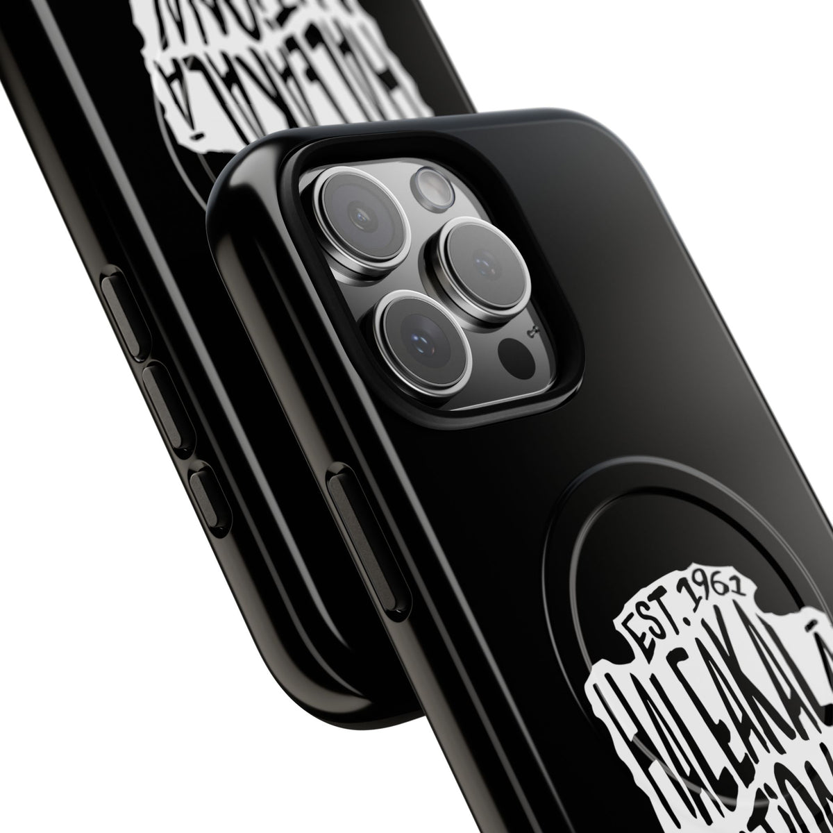 Haleakala National Park iPhone Case with MagSafe - Arrowhead Design