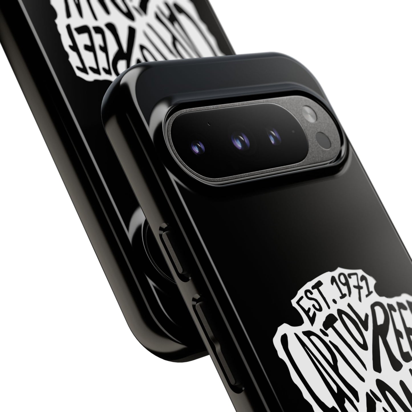 Capitol Reef National Park Phone Case - Arrowhead Design