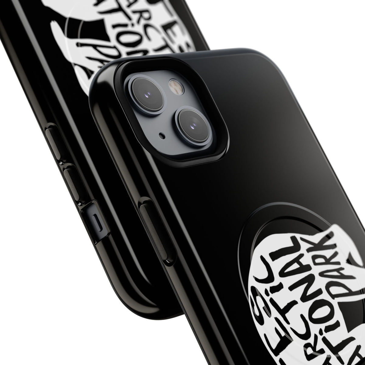 Gates of the Arctic National Park iPhone Case with MagSafe - Grizzly Bear Design