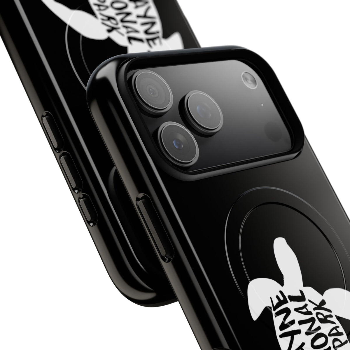 Biscayne National Park iPhone Case with MagSafe - Turtle Design