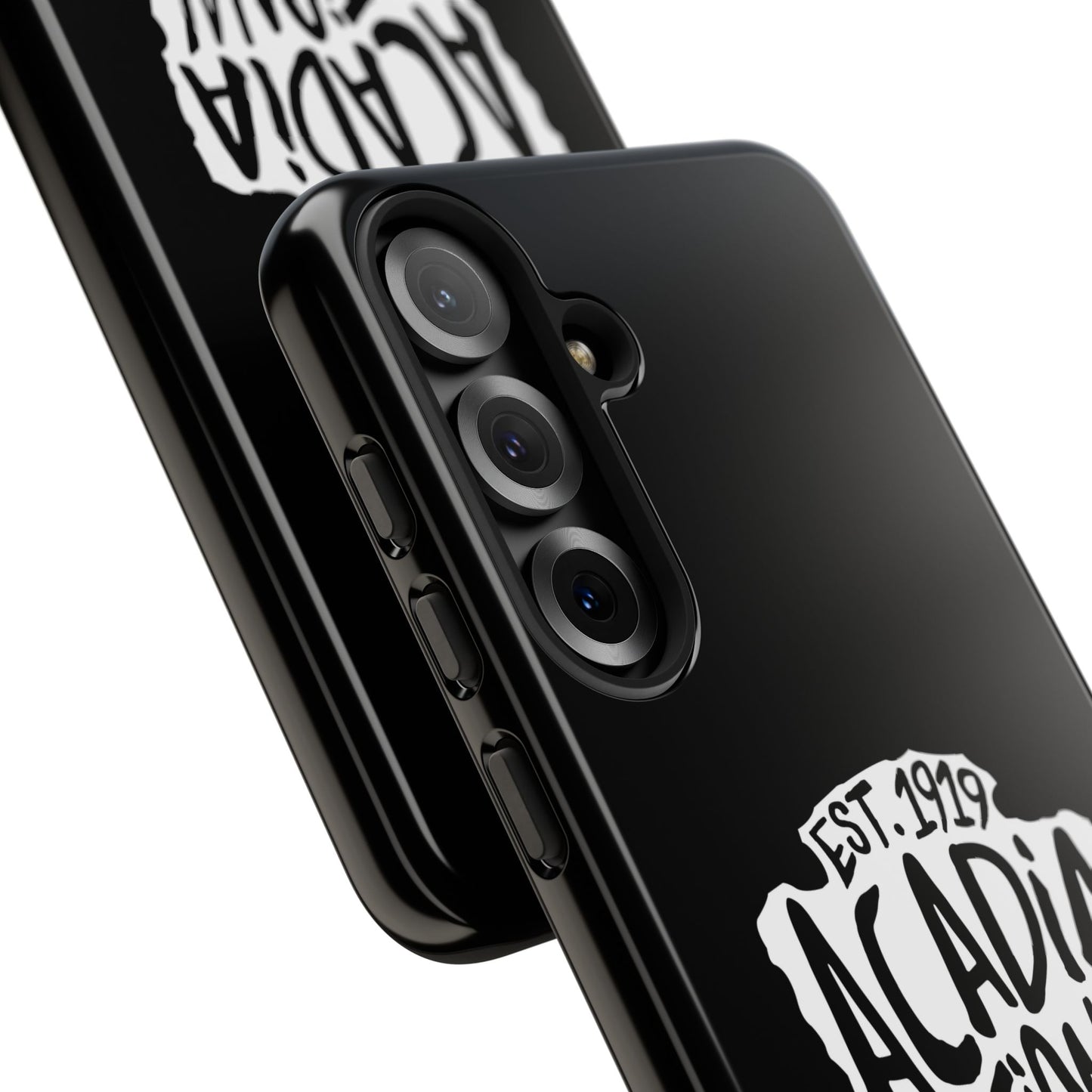 Acadia National Park Phone Case - Arrowhead Design