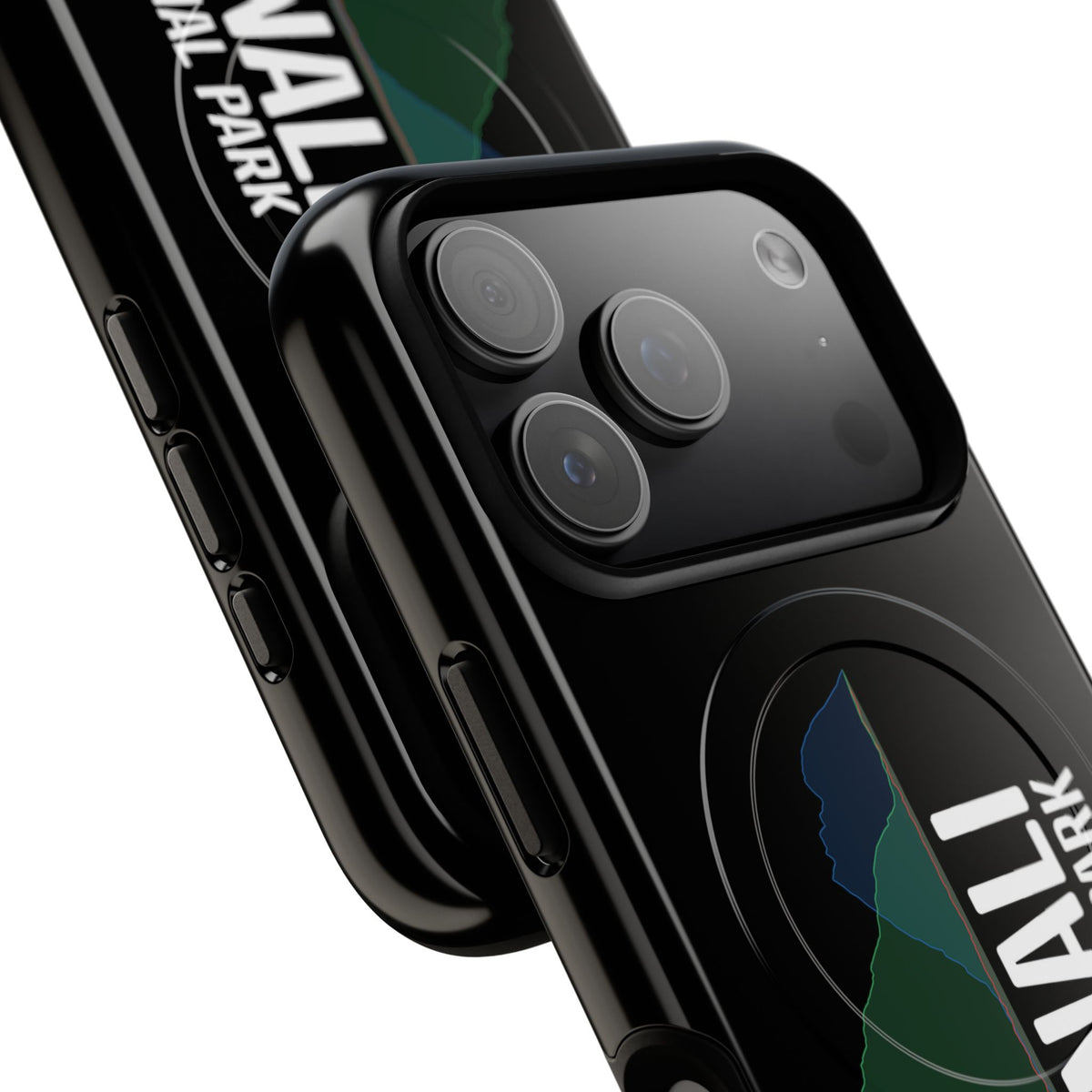 Denali National Park iPhone Case with MagSafe - Histogram Design