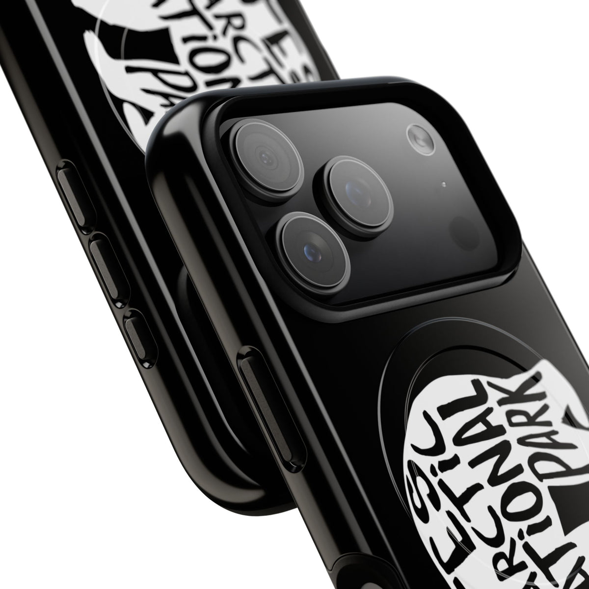 Gates of the Arctic National Park iPhone Case with MagSafe - Grizzly Bear Design