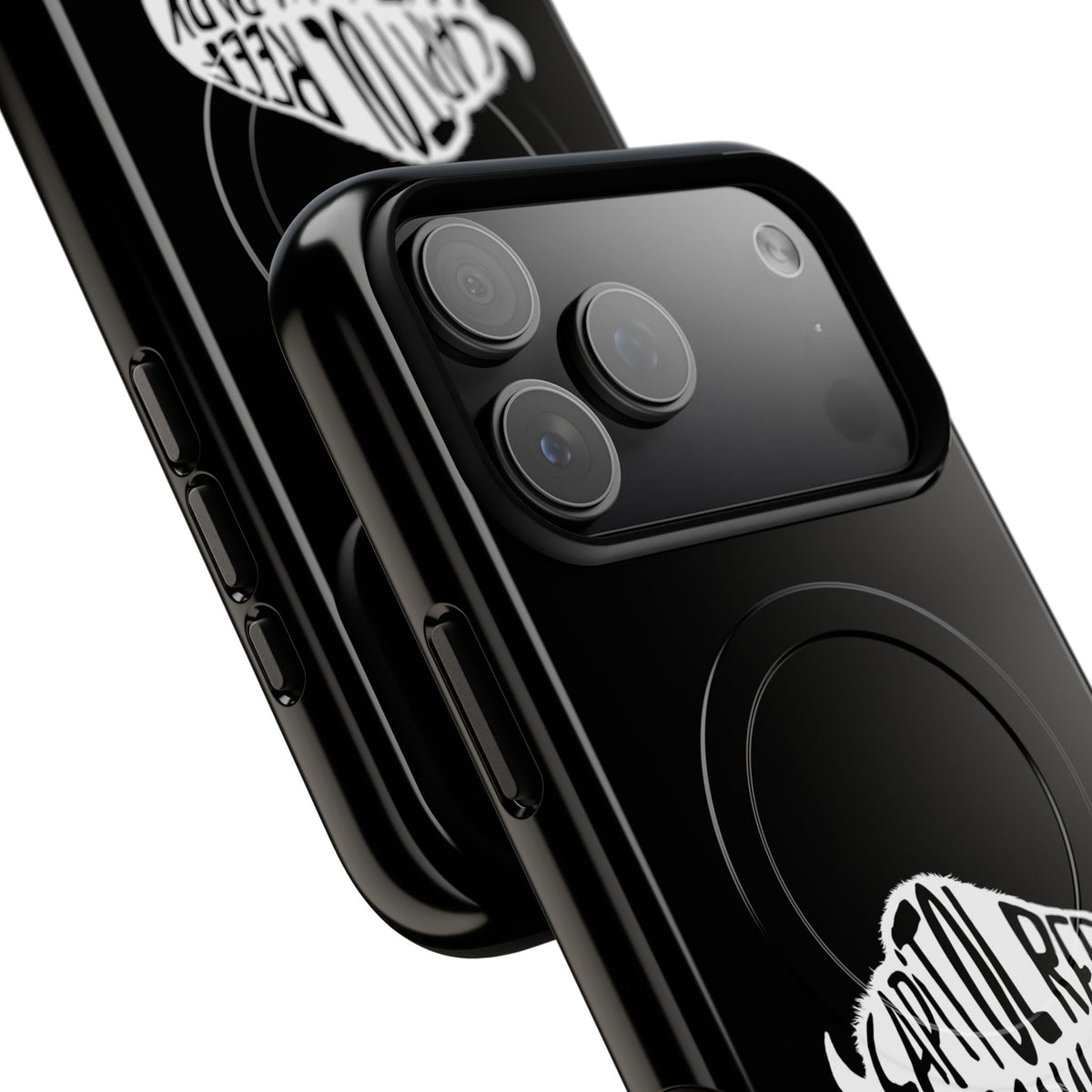 Capitol Reef National Park iPhone Case with MagSafe - Bison Design