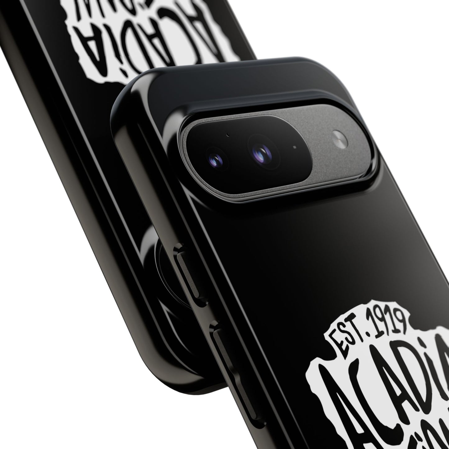 Acadia National Park Phone Case - Arrowhead Design