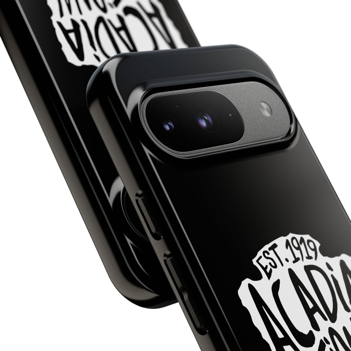 Acadia National Park Phone Case - Arrowhead Design