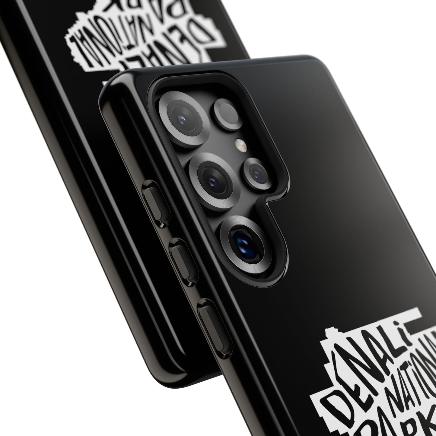 Denali National Park Phone Case - Map Design