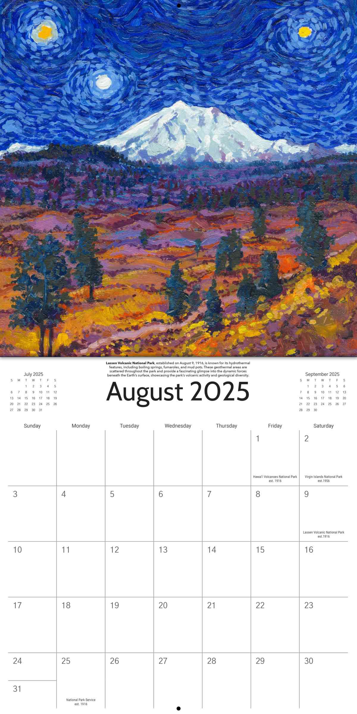 2025 Starry Night National Park Wall Calendar
