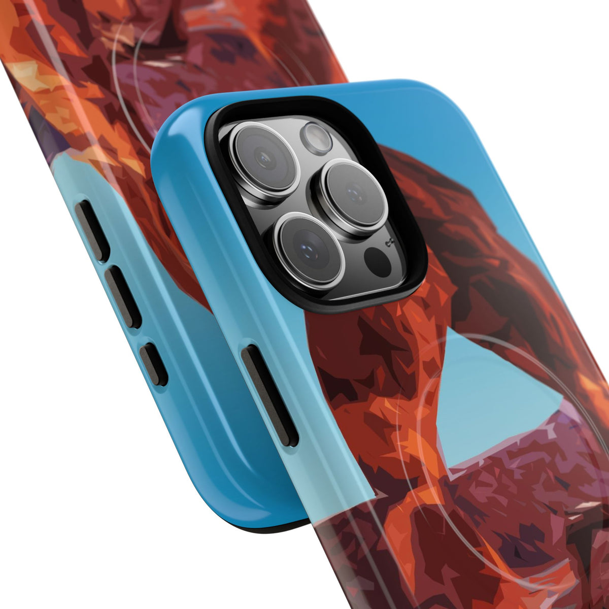 Arches National Park iPhone Case with MagSafe - WPA Design
