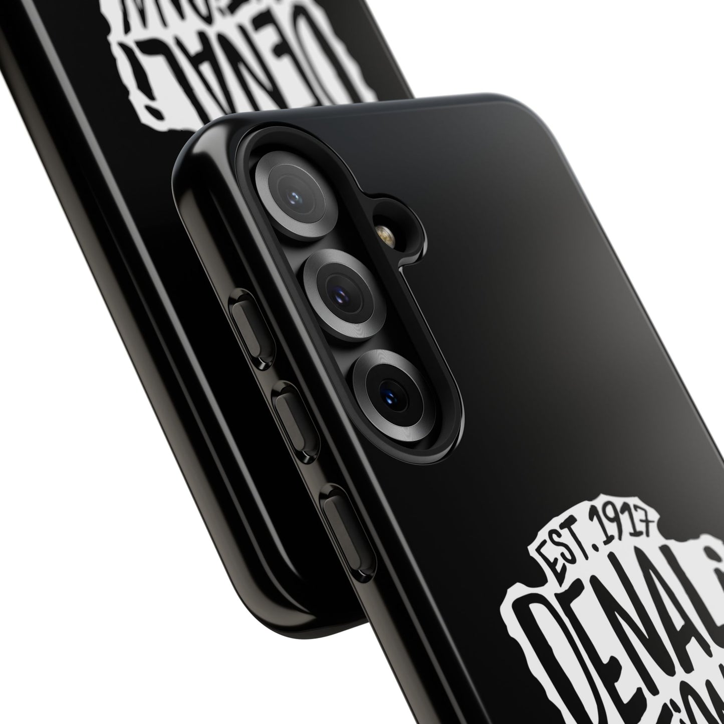 Denali National Park Phone Case - Arrowhead Design