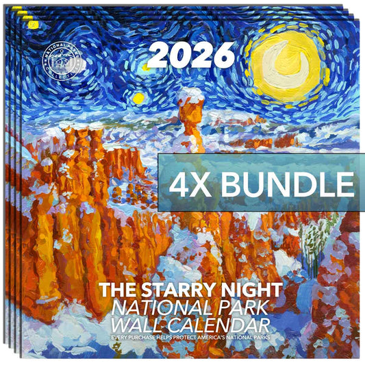 (4x Bundle) Starry Calendar Gift Bundle