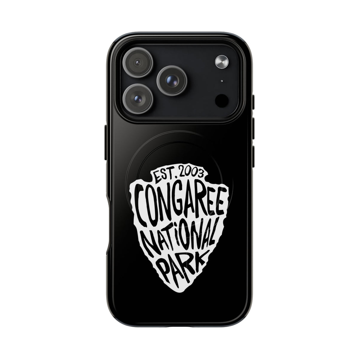 Congaree National Park iPhone case with MagSafe featuring arrowhead artwork.
