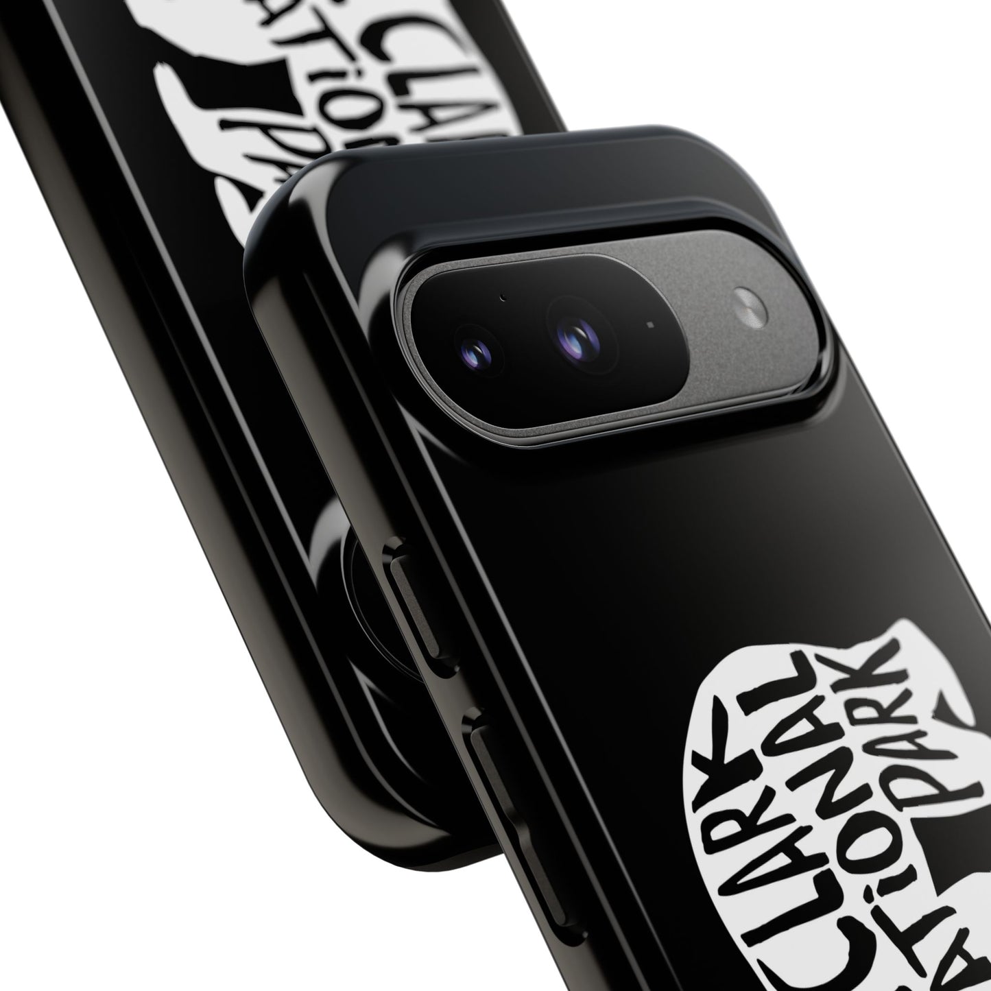 Lake Clark National Park Phone Case - Grizzly Bear Design