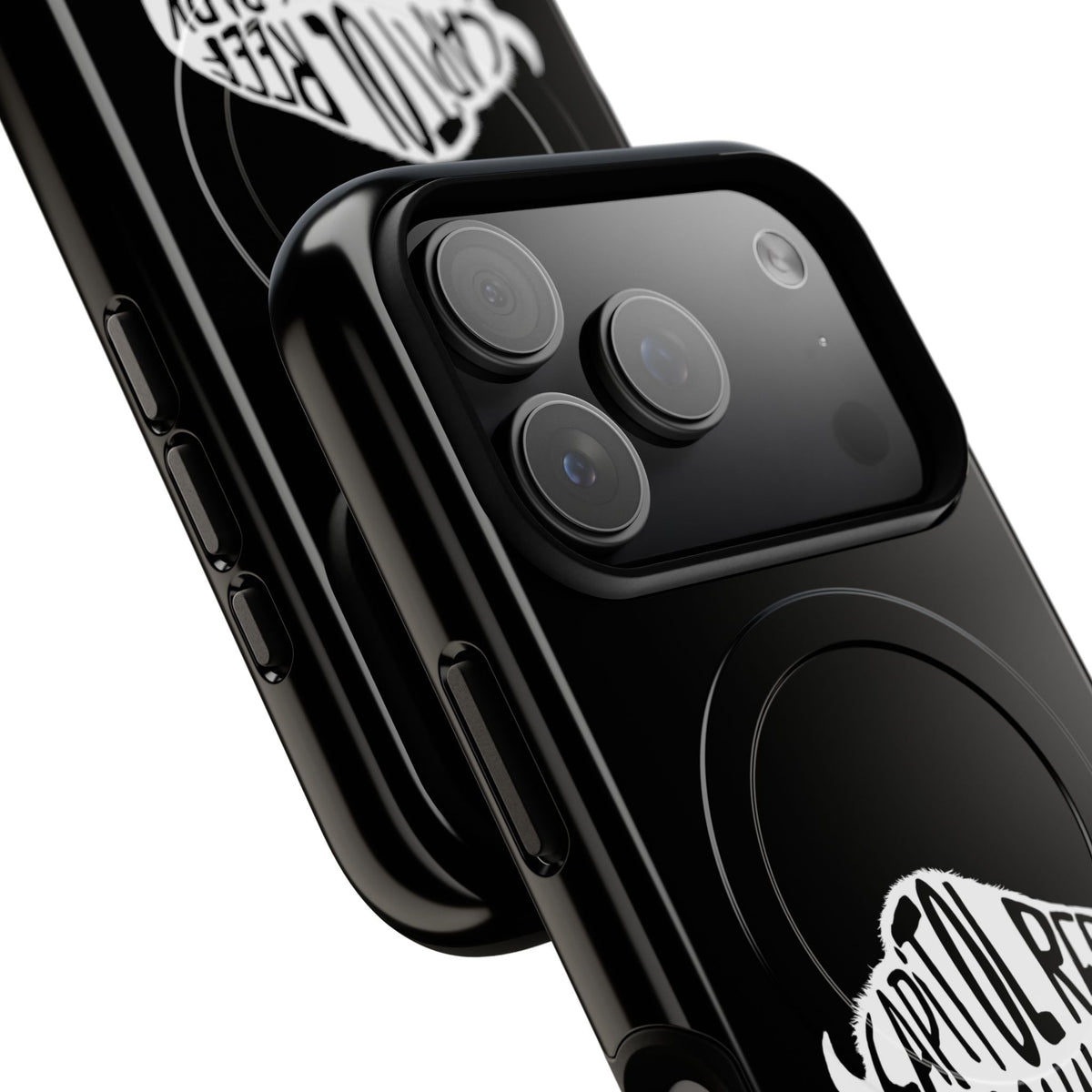 Capitol Reef National Park iPhone Case with MagSafe - Bison Design
