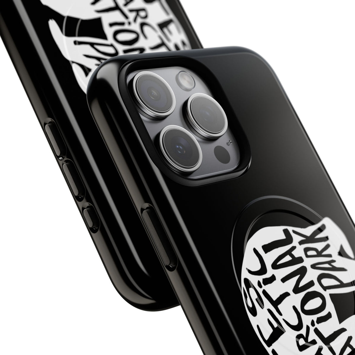 Gates of the Arctic National Park iPhone Case with MagSafe - Grizzly Bear Design