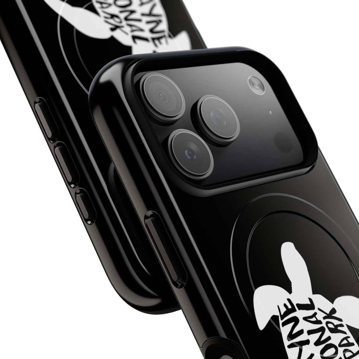Biscayne National Park iPhone Case with MagSafe - Turtle Design