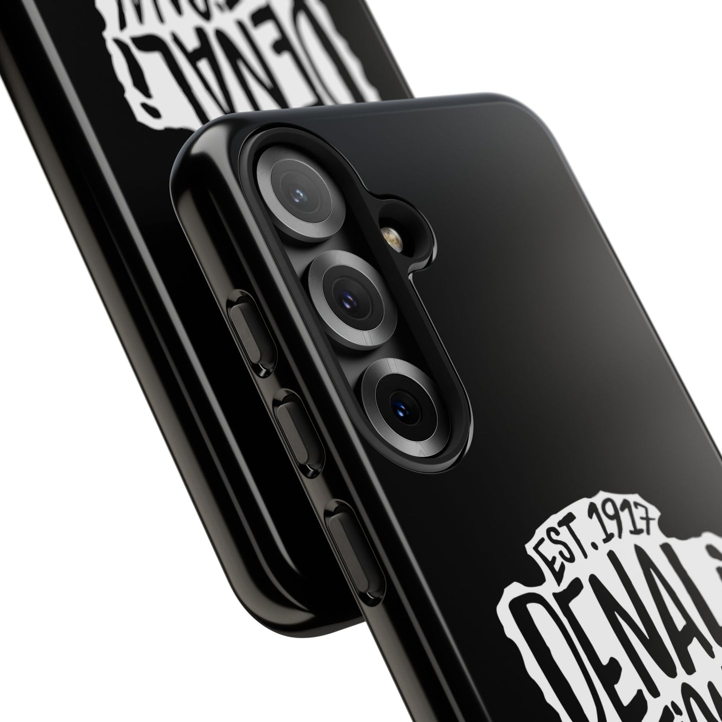 Denali National Park Phone Case - Arrowhead Design