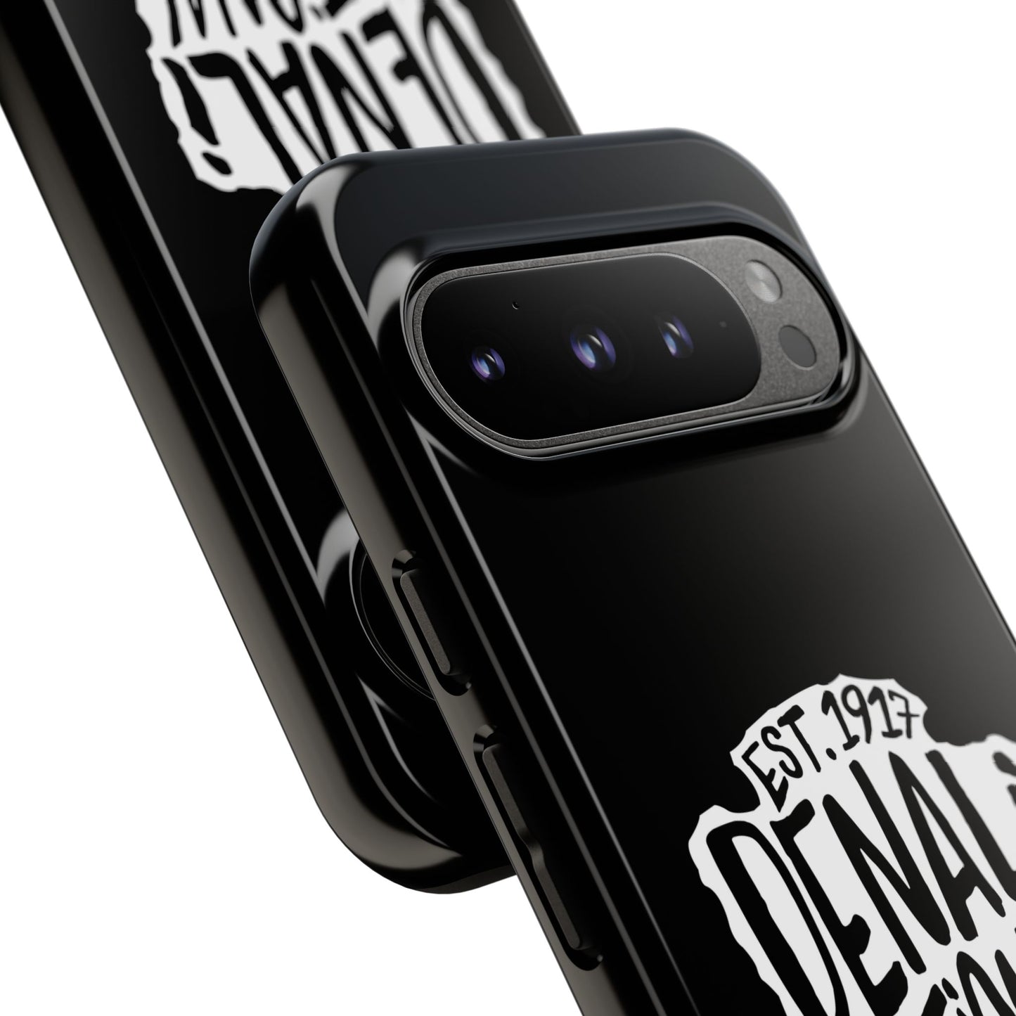 Denali National Park Phone Case - Arrowhead Design