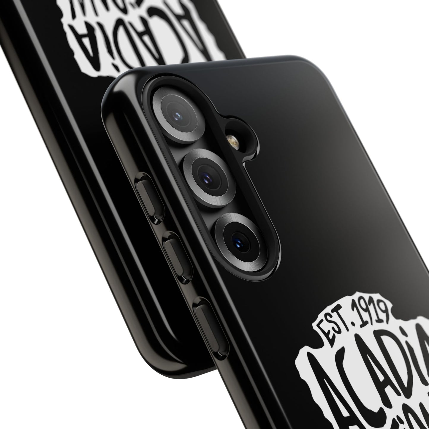 Acadia National Park Phone Case - Arrowhead Design