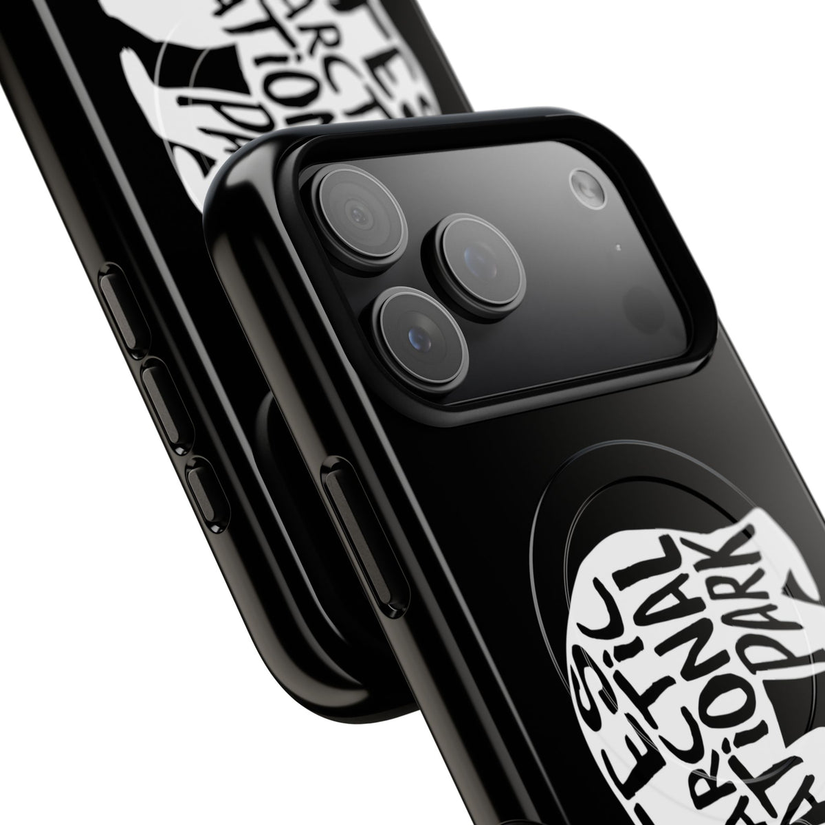 Gates of the Arctic National Park iPhone Case with MagSafe - Grizzly Bear Design