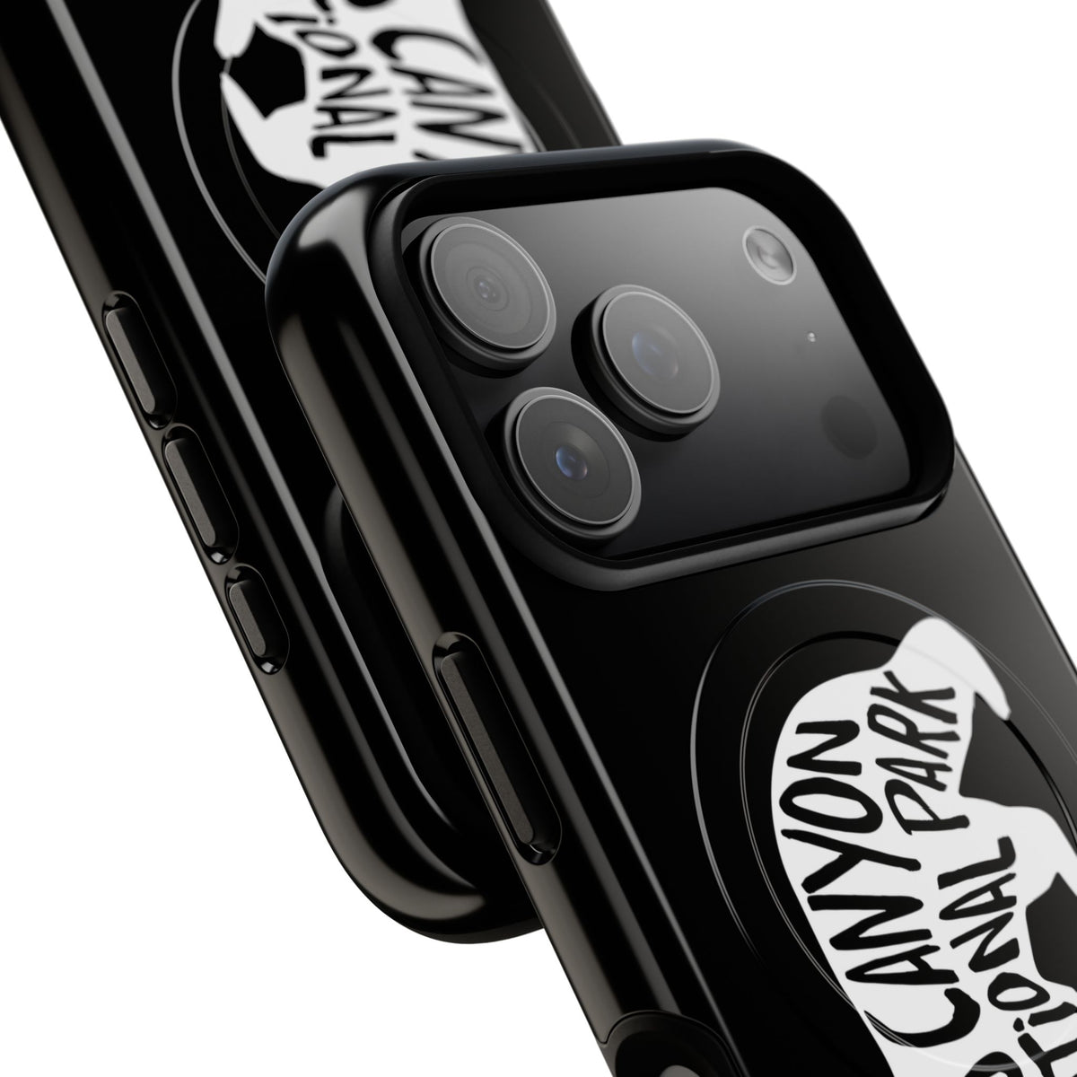 Kings Canyon National Park iPhone Case with MagSafe - Black Bear Design
