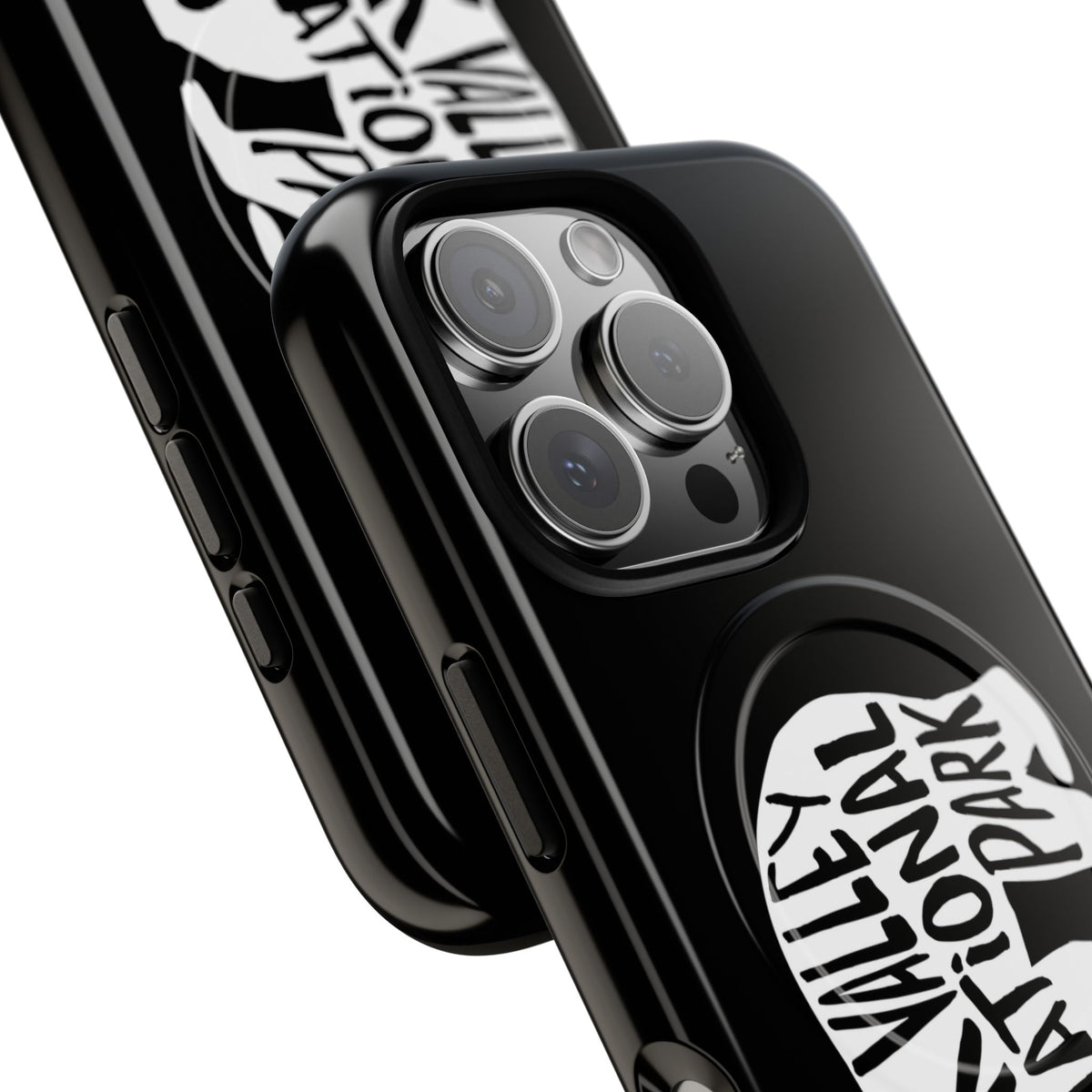 Kobuk Valley National Park iPhone Case with MagSafe - Grizzly Bear Design