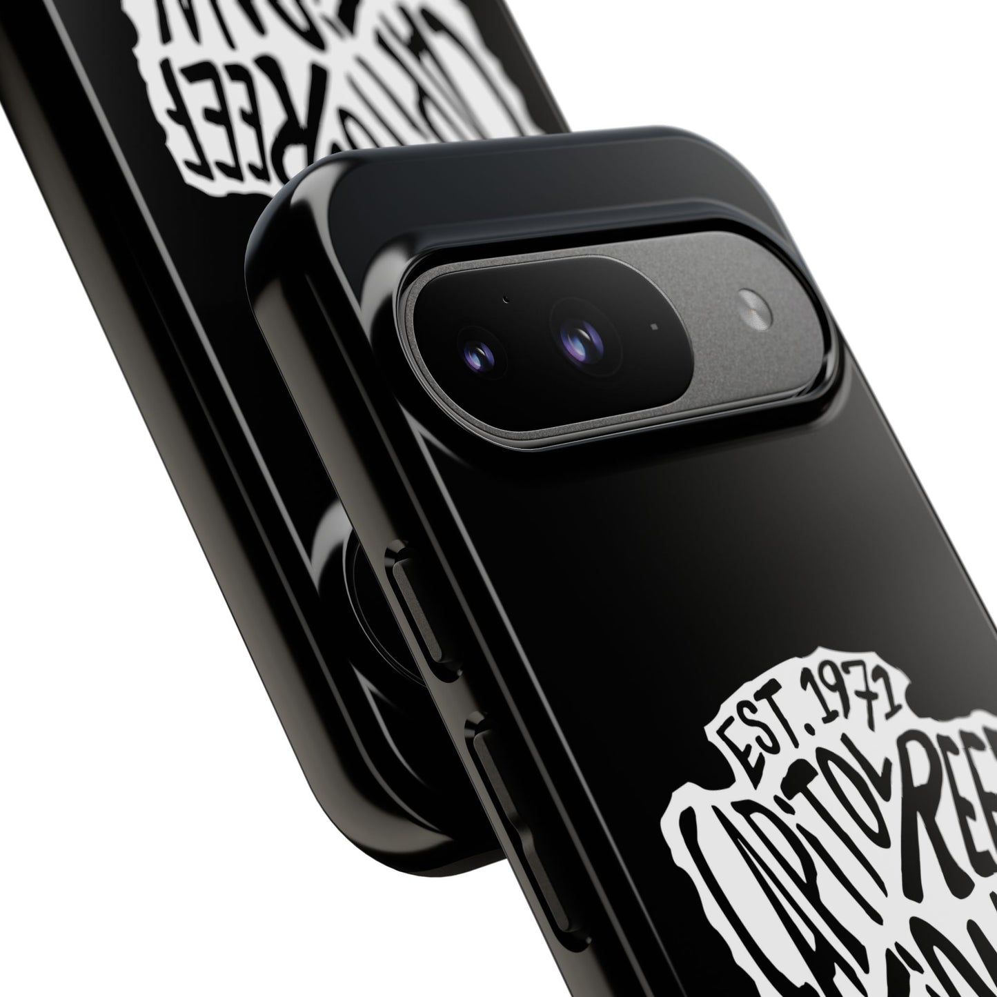 Capitol Reef National Park Phone Case - Arrowhead Design