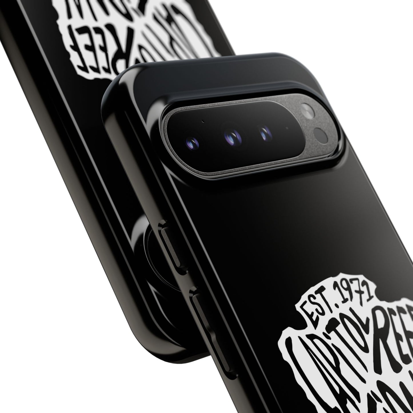 Capitol Reef National Park Phone Case - Arrowhead Design