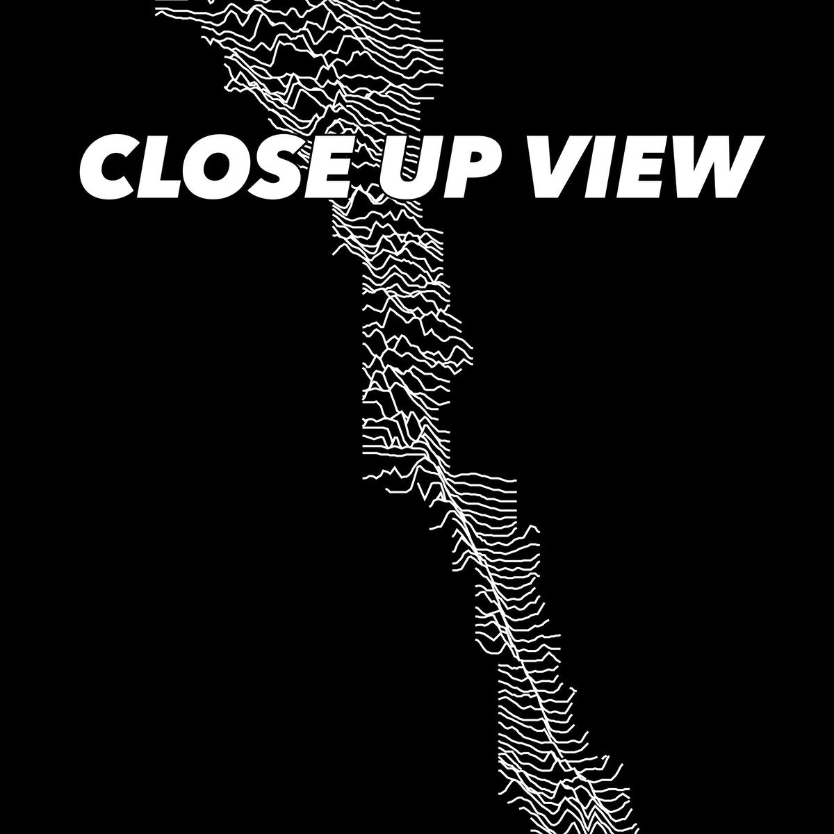 Close-up view of the Capitol Reef National Park poster artwork, showing white topographic elevation lines on black