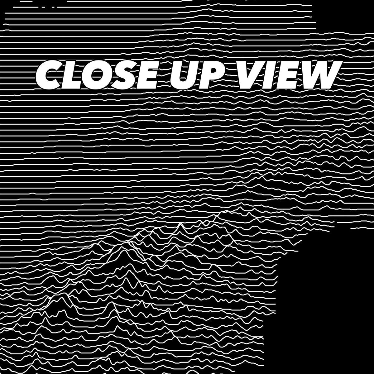 Close-up view of the Denali National Park poster artwork, showing white topographic elevation lines on black