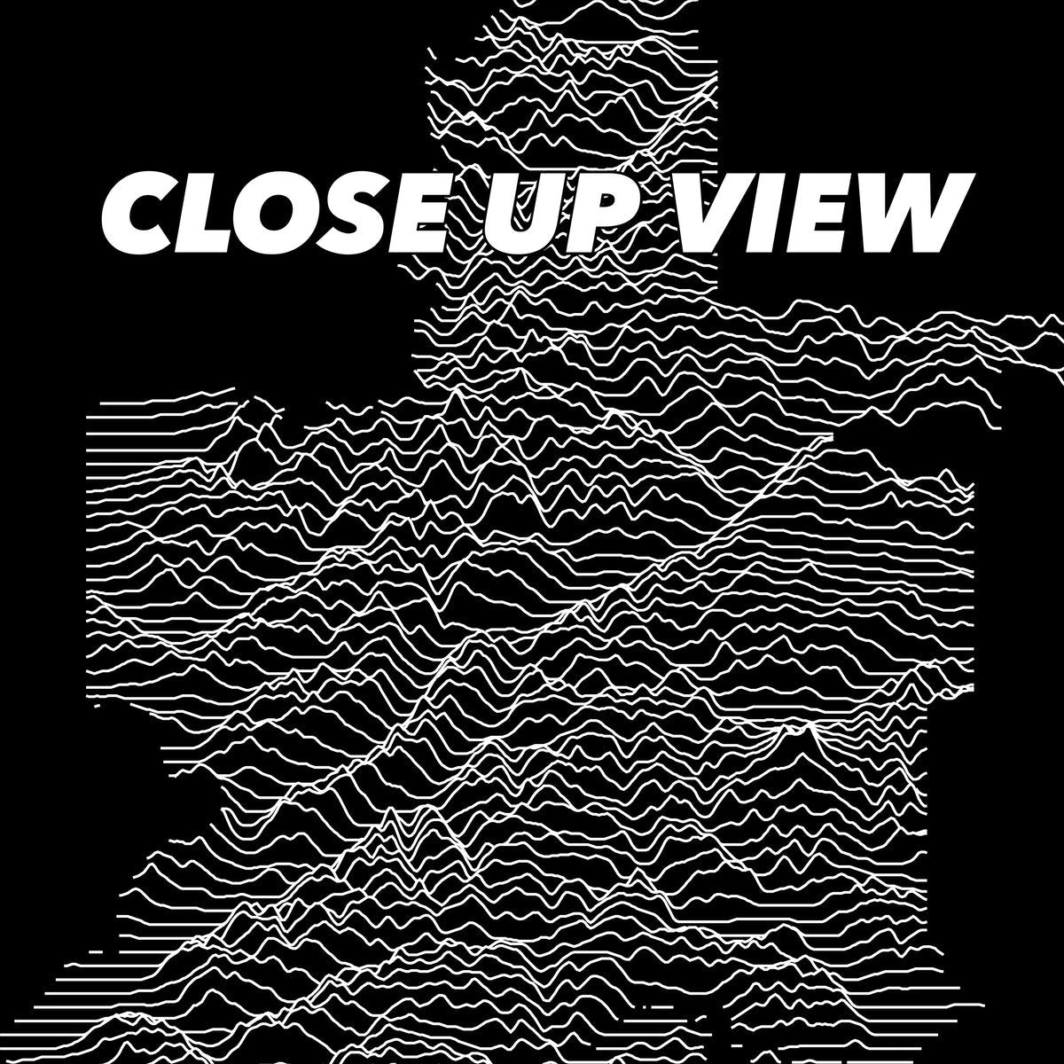 Close-up view of the Lake Clark National Park poster artwork, showing white topographic elevation lines on black