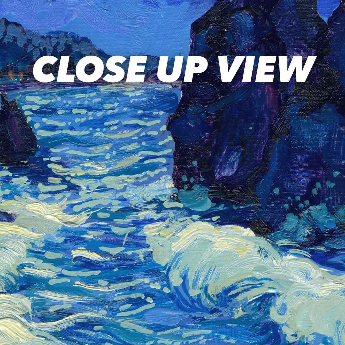 Close-up view of the Olympic National Park Starry Night poster artwork, showing colorful Van Gogh-inspired brushwork
