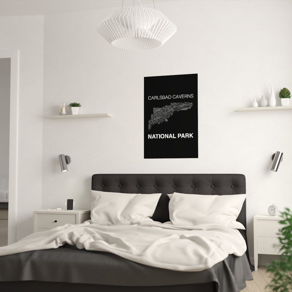 Carlsbad Caverns National Park Poster - Unknown Pleasures Lines National Parks Partnership