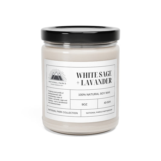 National Park Scented Candle - 9oz