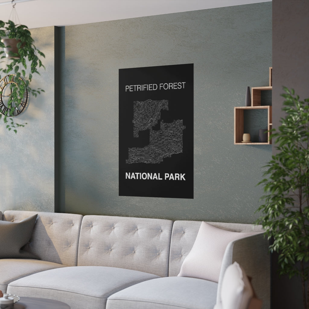Petrified Forest National Park Poster - Unknown Pleasures Lines National Parks Partnership